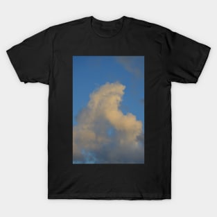 Wave of Vapor T-Shirt